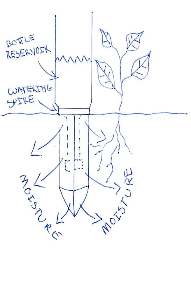 Note How Do Terracotta SelfWatering Spikes Work?